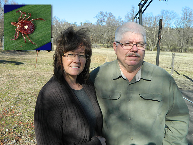 Arkansas farmer Dan Wright and his wife Belinda haven&#039;t been able to eat beef and pork since contracting an allergy to mammals from a lone star tick bite. The allergy wasn&#039;t officially recognized until 2009, but has been increasingly diagnosed around the country. (Photo by Chris Clayton; Tick photo courtesy CDC - U.S. Centers for Disease Control)